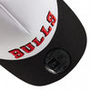 Chicago Bulls Team Arch Black A-Frame Trucker Cap