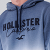 hoodie hollister california