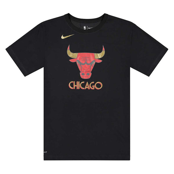 Chicago Bulls City Edition Logo